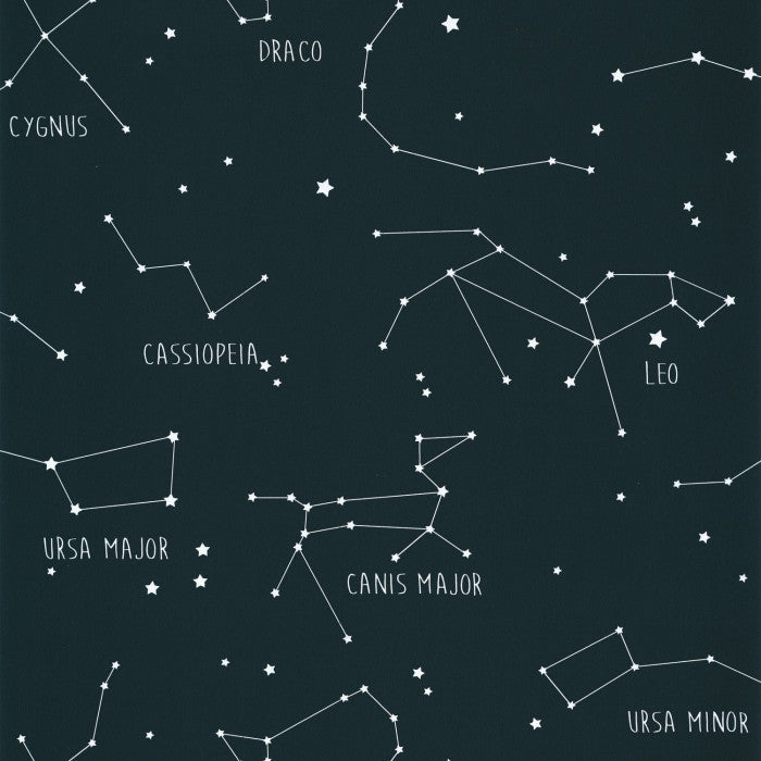 Entrega Inmediata Papel Mural Our Planet Constellations
