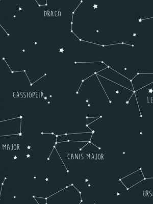 Entrega Inmediata Papel Mural Our Planet Constellations