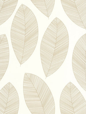 Graphic Leaves