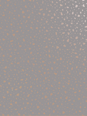 Entrega Inmediata Papel Mural Terrazo