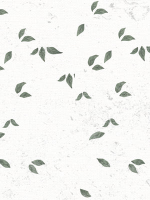 Papel Mural Patron 13 Colección Niños