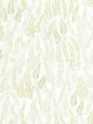 Papel Mural Walk in the Jungle