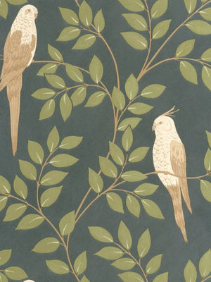 Papel mural Equateur