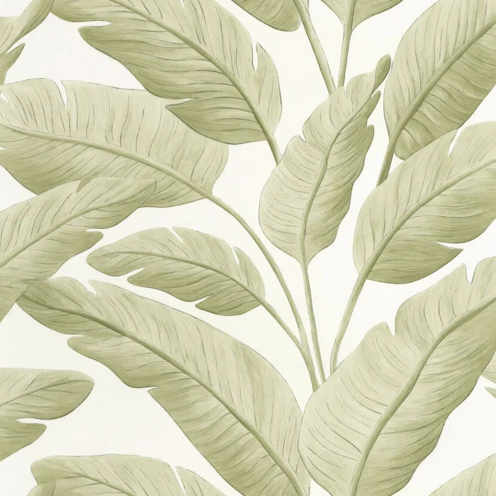 Papel mural Tropicalia