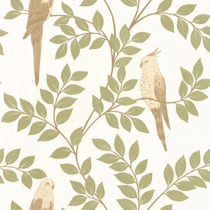 Papel mural Equateur