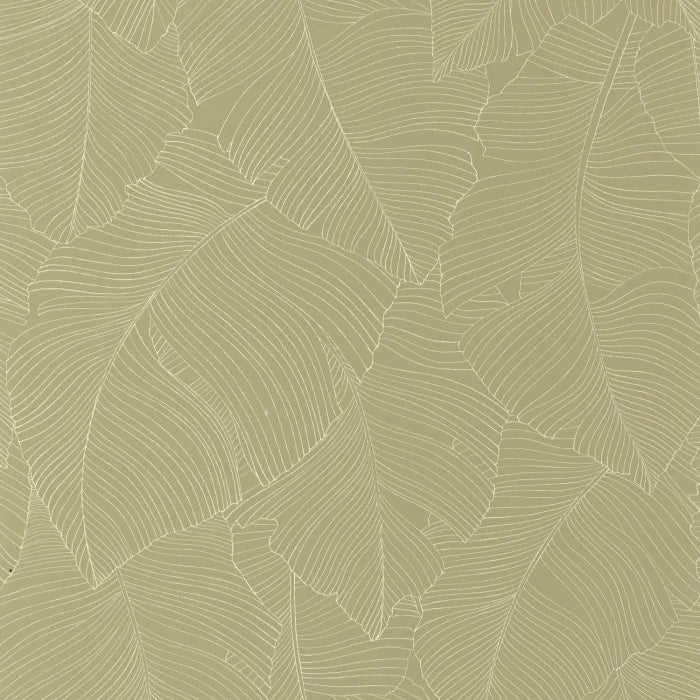 Papel mural Vegetalia