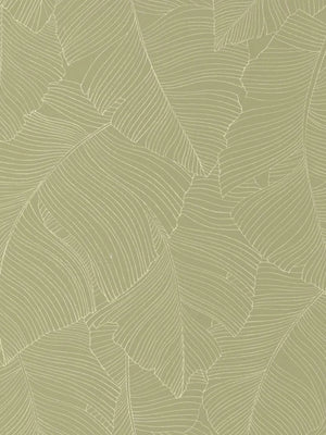 Papel mural Vegetalia