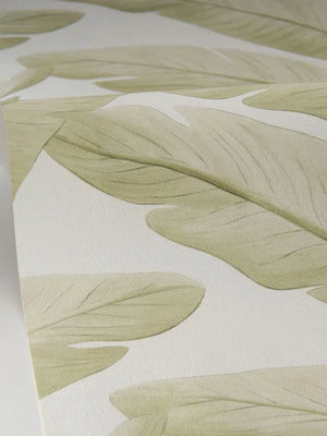 Papel mural Tropicalia