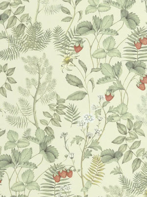 Papel Mural Strawberry Field