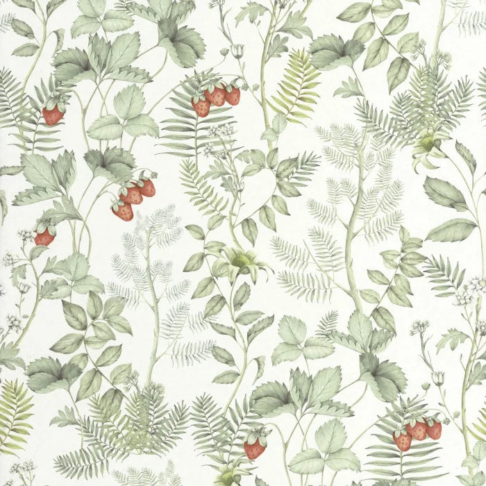 Papel Mural Strawberry Field