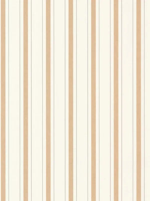 Papel Mural Rayure