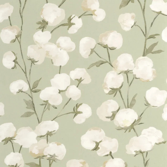 Papel mural Cotton Flower