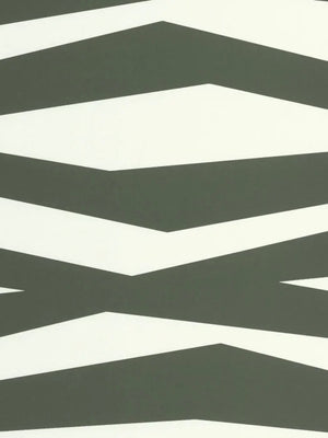 Papel mural Zebra game