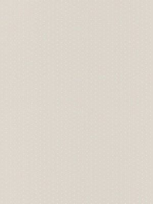 My Little World Pois