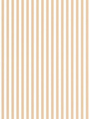 My Little World Rayure