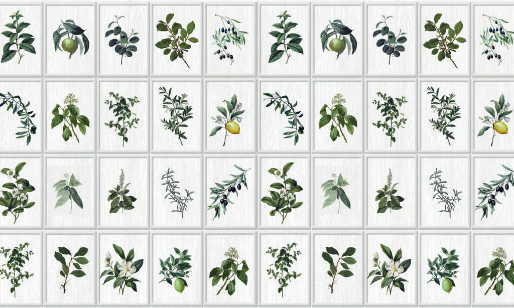 Papel Mural Limones Enmarcados