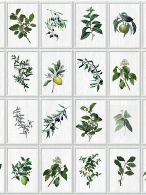 Papel Mural Limones Enmarcados