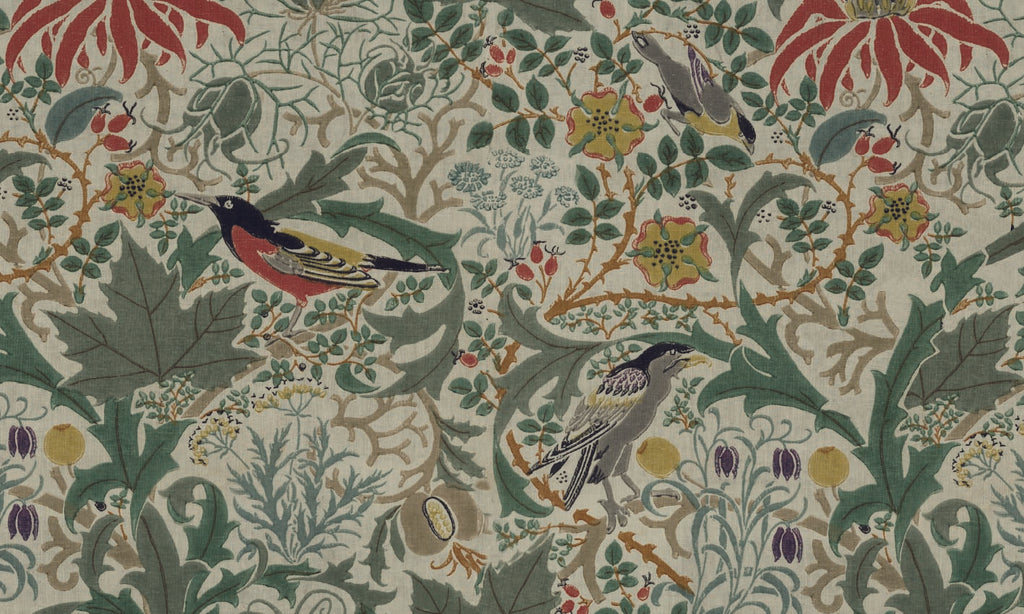 Papel Mural Pájaro Inglés