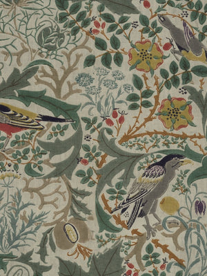 Papel Mural Pájaro Inglés