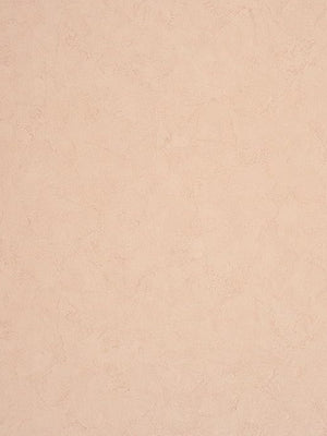 Entrega inmediata Papel Mural Tour du Monde