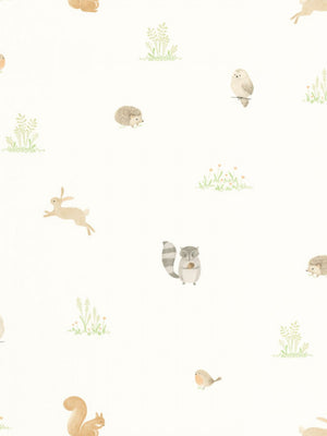 Companions Of The Forest