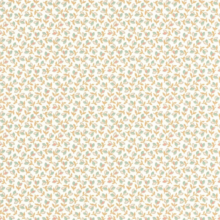 Papel mural Darwin tulip