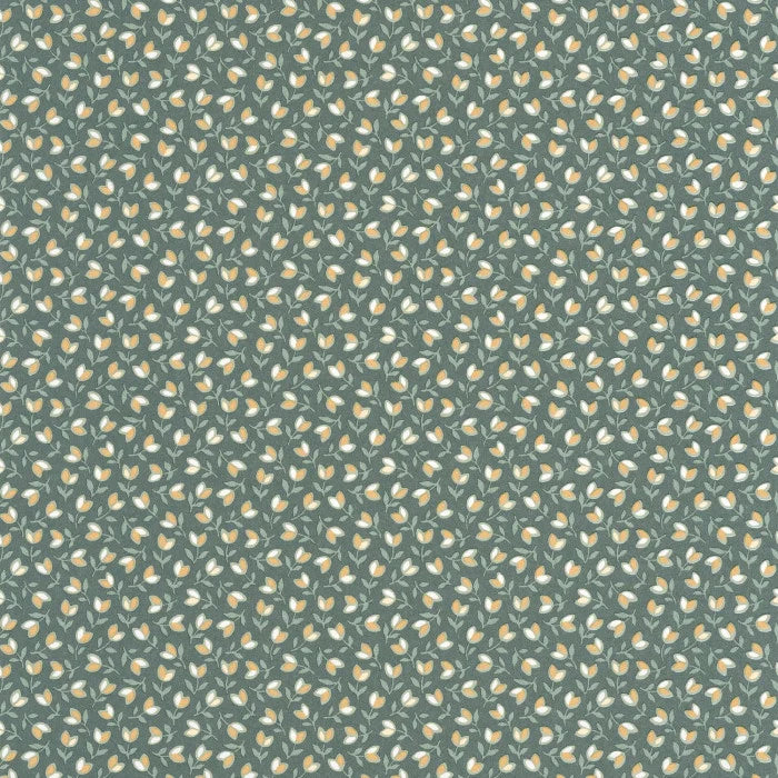 Papel mural Darwin tulip