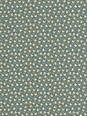 Papel mural Darwin tulip