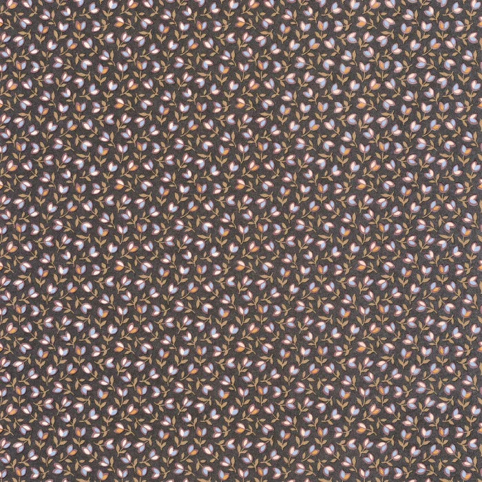 Papel mural Darwin tulip