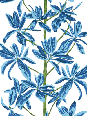 Entrega Inmediata Papel Mural Mangrove Tree