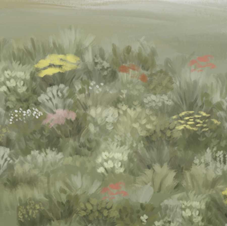 Papel Mural Campo de Flores