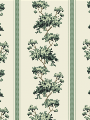 Papel Mural Raya con Arboles