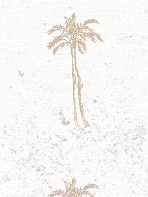 Papel Mural Patron 21 Colección Niños