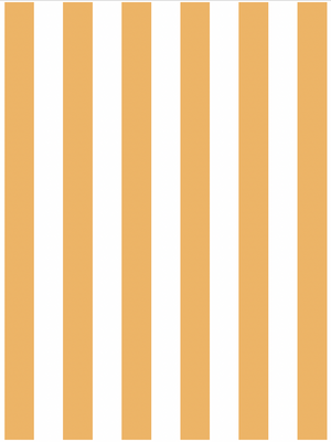 Papel Mural Raya Basica 2 - 2 cm