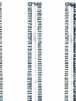 Papel Mural Raya Organica 13