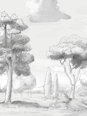 Papel Mural Paisaje Croqui