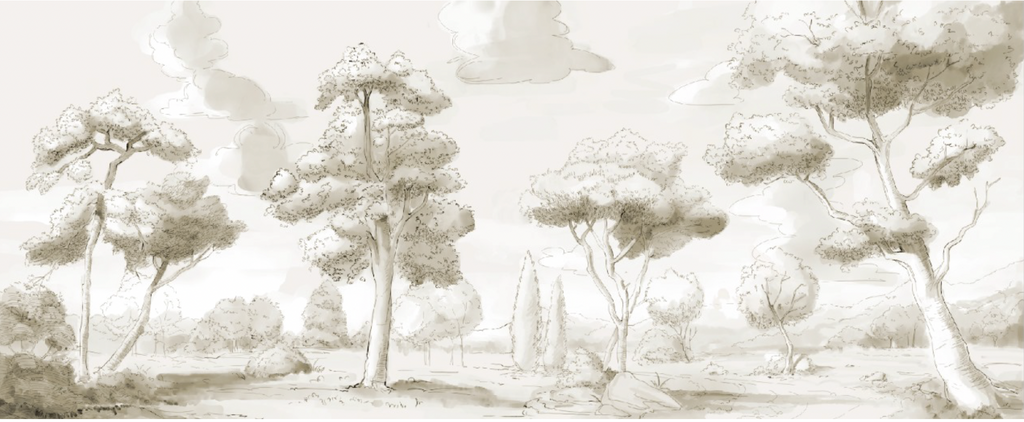 Papel Mural Paisaje Croqui