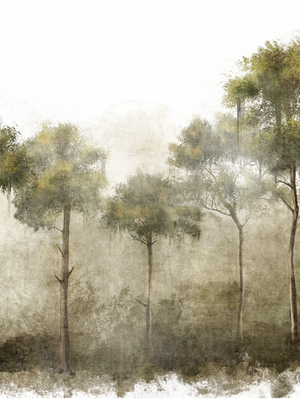 Papel Mural Paisaje Arboleda