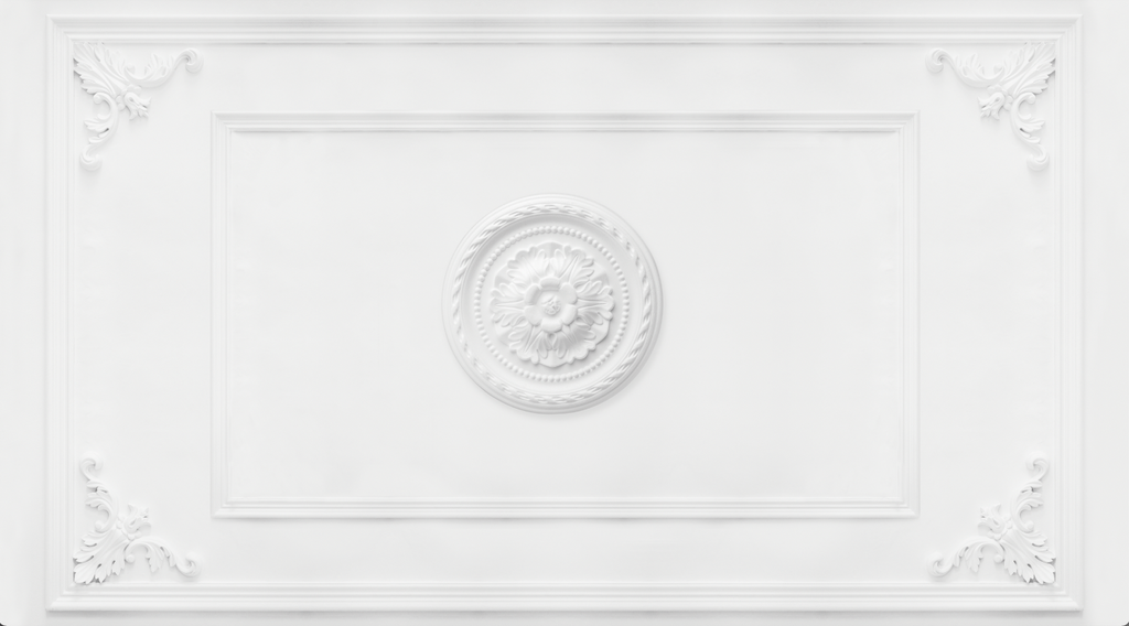 Papel Mural Techo Roseta