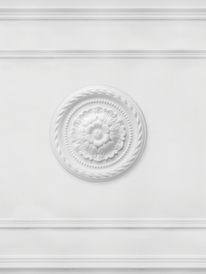 Papel Mural Techo Roseta