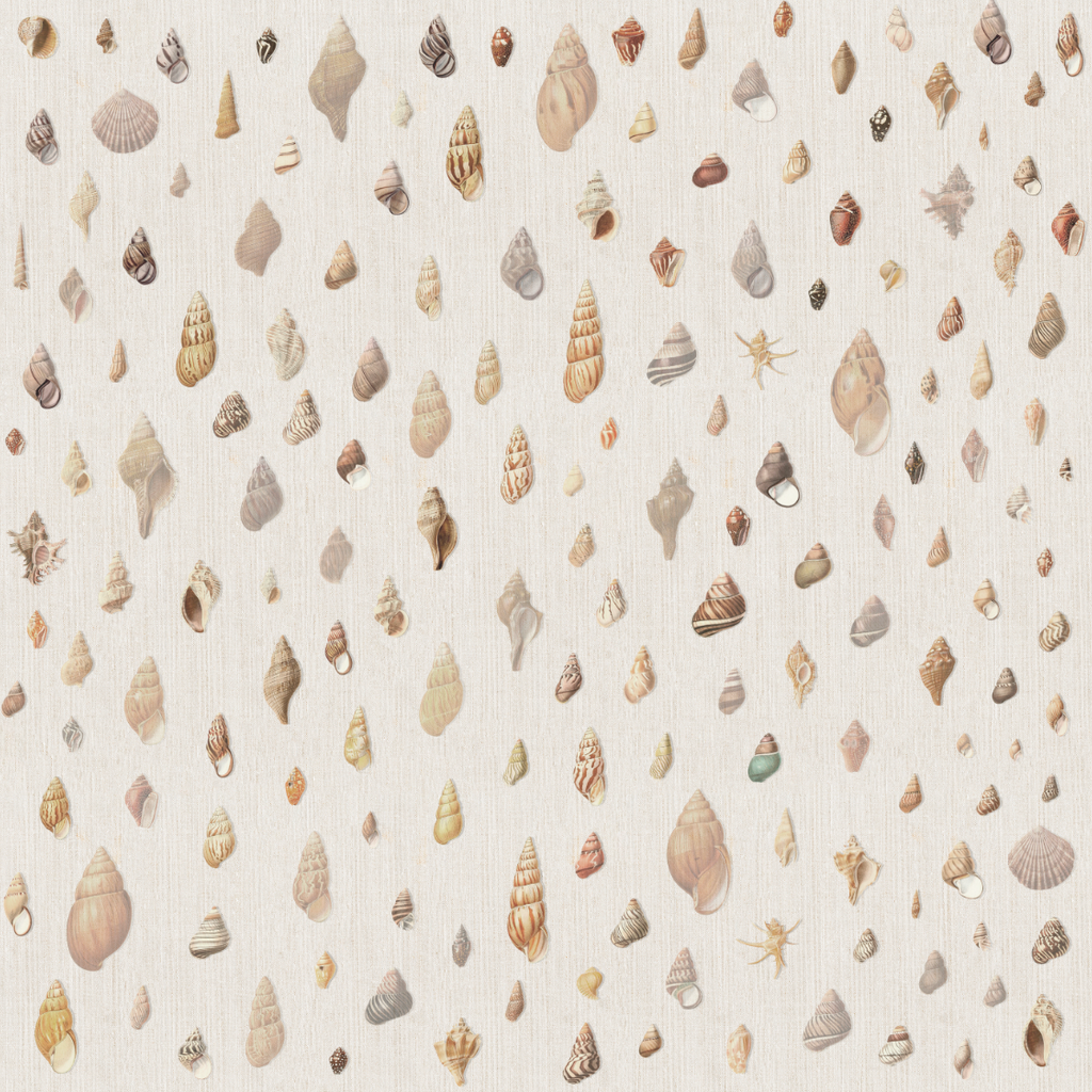 Papel Mural Conchas