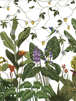 Papel Mural Paisaje Ciro Volando