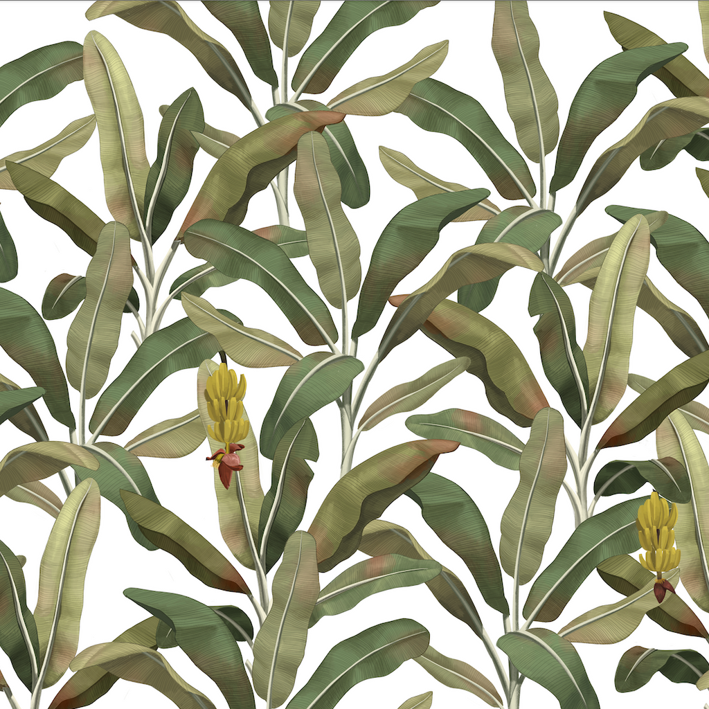 Papel Mural Paisaje Bananero