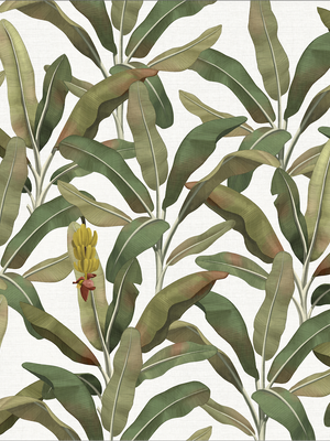 Papel Mural Paisaje Bananero