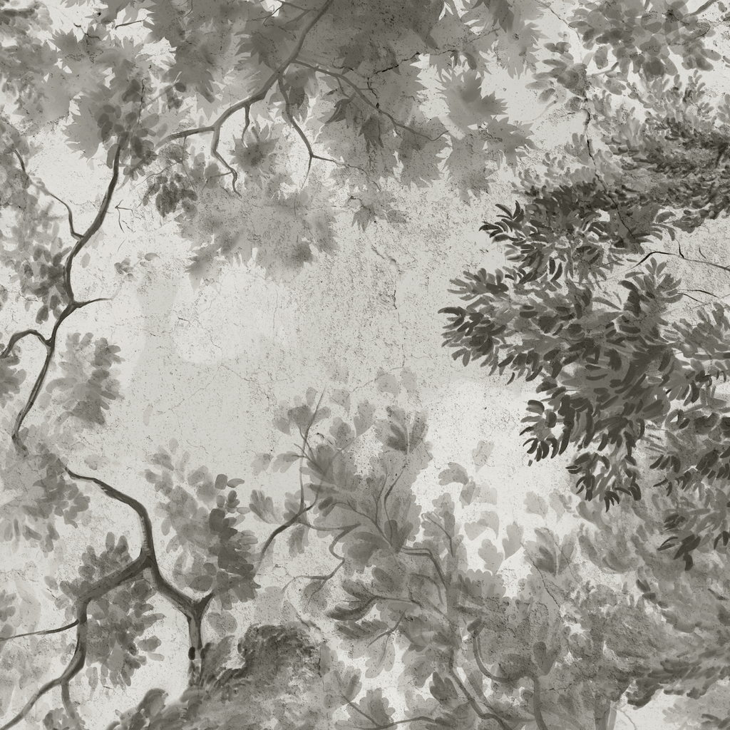 Papel Mural Techo Cielo