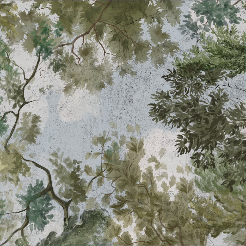 Papel Mural Techo Cielo