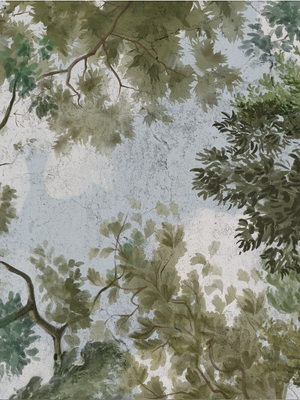 Papel Mural Techo Cielo