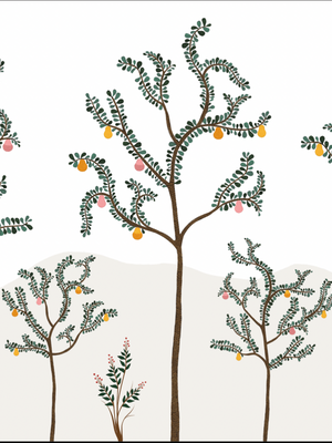 Papel Mural Techo Arboles Tejidos