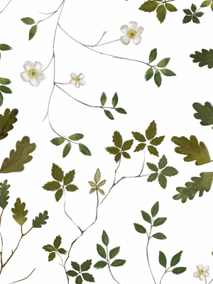 Papel Mural Techo Hojas y Flores