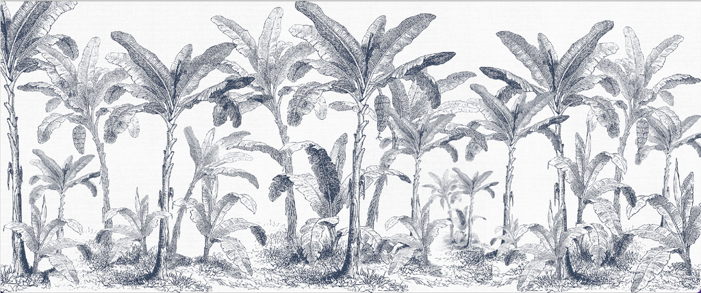 Papel Mural Paisaje Selva